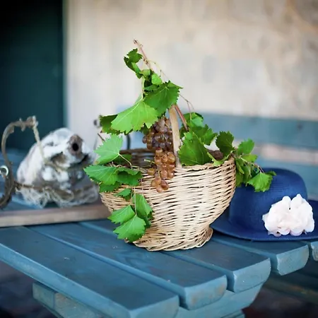 On Krk With Pool And Outdoor Kitchen *