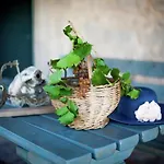 On Krk With Pool And Outdoor Kitchen *